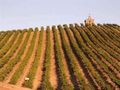 Eastern Washington vineyard with small church building